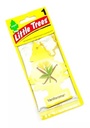 AMBIENTADOR XTRA VAINILLA PINO LITTLE TR