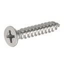 [TOR-055-031.03] TORNILLO AUT PLA PH12-14X11/4 DUPLEX 10U