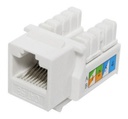 KEYSTONE QNET RJ45 CAT6 BLANCO